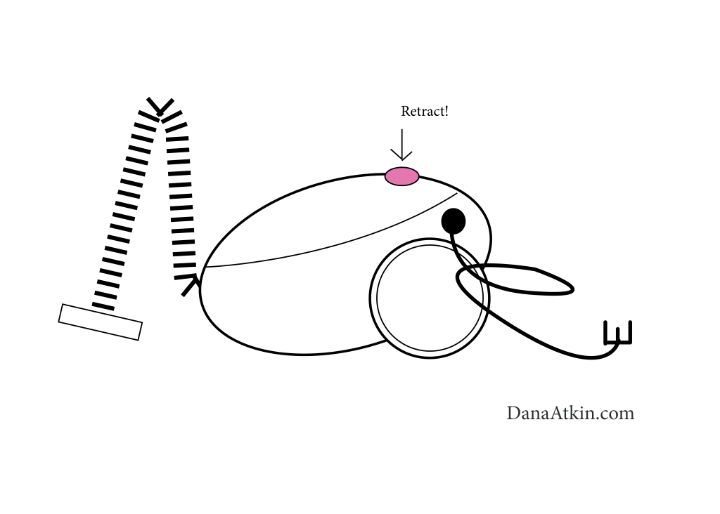 Stop investing all your energy into things that do not serve you. Dana Atkin, Kinesiologist