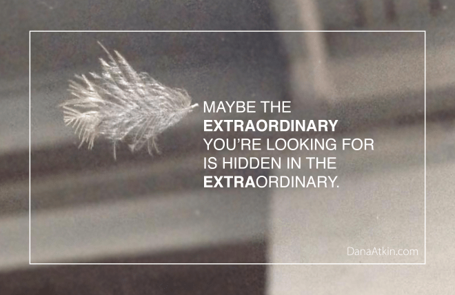 ExtraOrdinary Dana Atkin Kinesiology