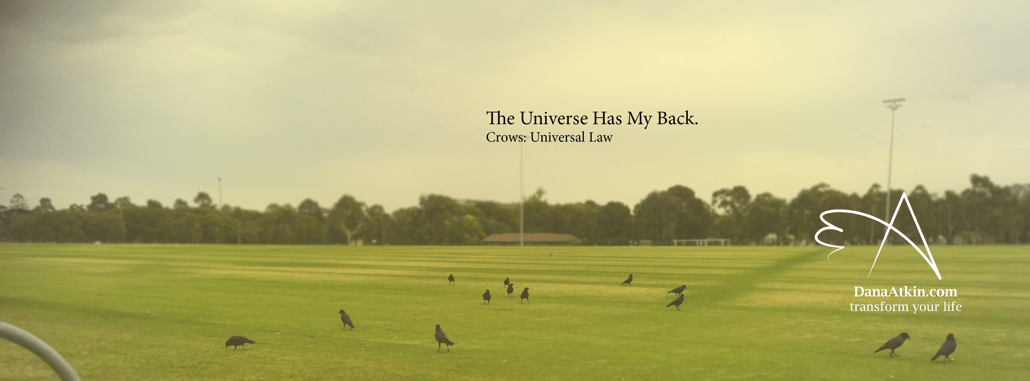 Universe Has My Back Dana Atkin Energy Healing