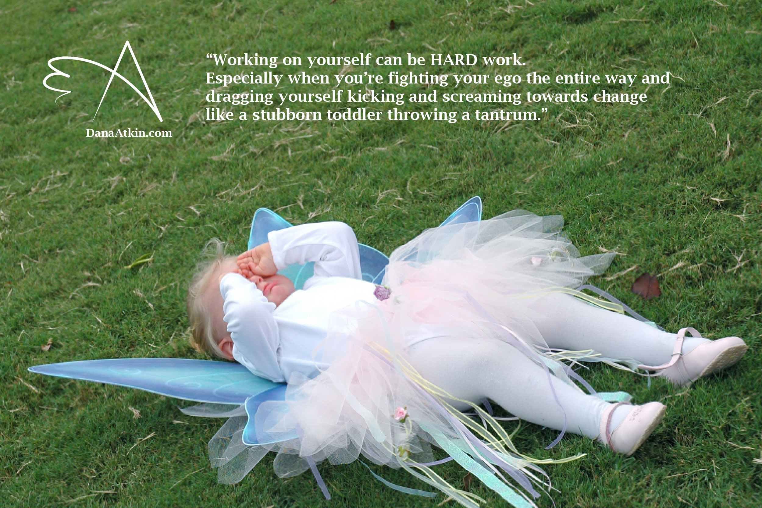 Self Development Quote Dana Atkin